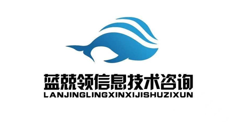 藍(lán)兢領(lǐng) 信息技術(shù)咨詢服務(wù)的領(lǐng)航者